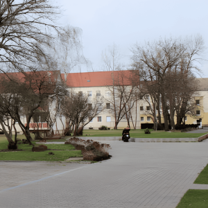 Wohnensemble mit Innenhof und Baumbestand | Residential Ensemble with Courtyard and Trees