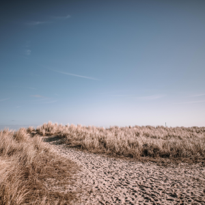Dünenpfad an der Nordseeküste bei Wilhelmshaven | Dune Path on the North Sea Coast near Wilhelmshaven