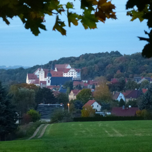 Blick vom Töpelsberg auf Colditz – 17. Oktober 2012 – Foto: Tnemtsoni | View from Töpelsberg to Colditz – October 17, 2012 – Photo: Tnemtsoni