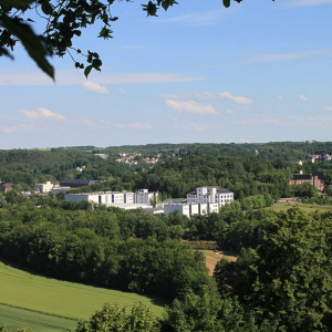 Blick auf Waldheim und die Zschopau vom Stufenberg – 16. Juni 2013 – Foto: Verschönerungsverein Waldheim | View of Waldheim and the Zschopau River from Stufenberg – June 16, 2013 – Photo: Verschönerungsverein Waldheim