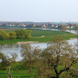 Elbschleife bei Strehla – 10. April 2009 – Foto: Jörg Blobelt | Elbe River Bend near Strehla – April 10, 2009 – Photo: Jörg Blobelt