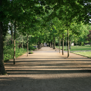 Stadtpark Merseburg mit baumbestandener Allee | Merseburg City Park with Tree-Lined Avenue