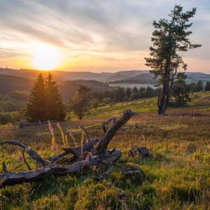 Sonnenuntergang über der Mittelgebirgslandschaft | Sunset over the Mountain Landscape