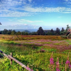Wanderweg mit Blick über die Landschaft | Hiking Trail with Scenic View
