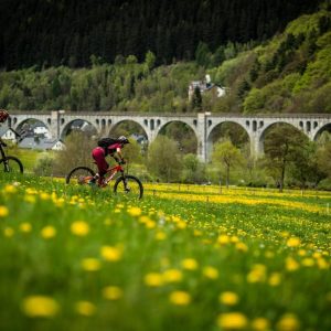 Mountainbiker in idyllischer Tallandschaft | Mountain Bikers in Scenic Valley Landscape