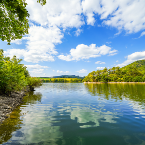 Diemelsee im Sauerland mit idyllischer Uferlandschaft | Lake Diemelsee with Idyllic Shoreline in Sauerland