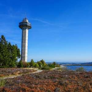Hochheideturm am Ettelsberg in Willingen | Hochheideturm at Ettelsberg in Willingen