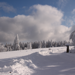 Verschneite Hochlandschaft bei Willingen | Snowy Upland Landscape near Willingen