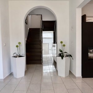 Repräsentativer Eingangsbereich mit eleganter Treppe | Elegant Entrance Hall with Staircase