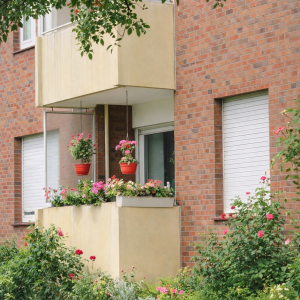 Balkon mit blühenden Pflanzen | Balcony with Blooming Flowers