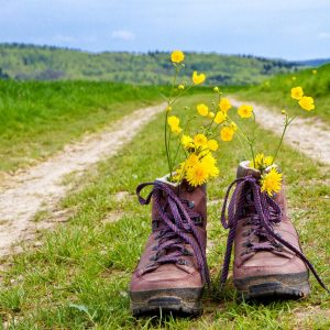 Wanderschuhe auf Naturweg | Hiking Boots on a Nature Trail